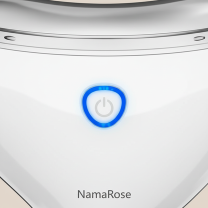 EMS V Face Gua Sha Machine™